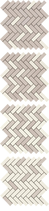 ragno terracruda r060.jpg