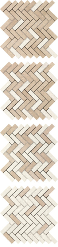 ragno terracruda r06a.jpg