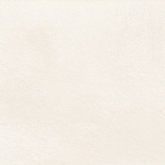 ragno terracruda r5mw.jpg