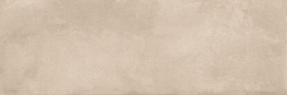 ragno terracruda r65n.jpg