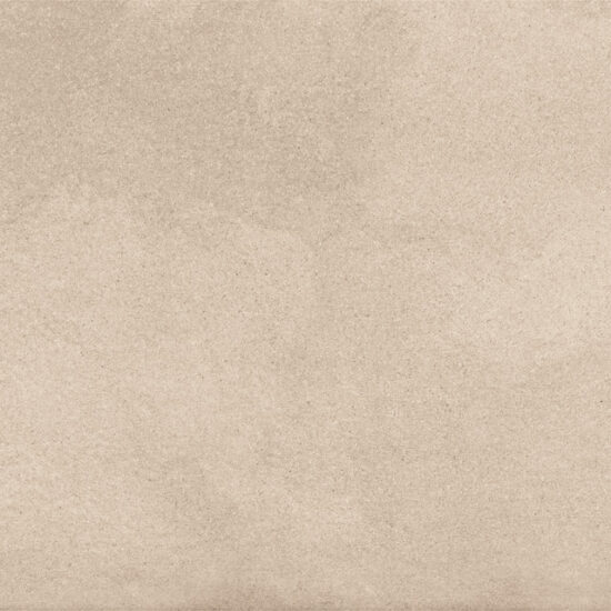 ragno terracruda r65n.jpg