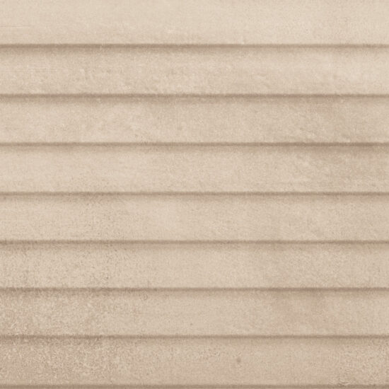 ragno terracruda r693.jpg