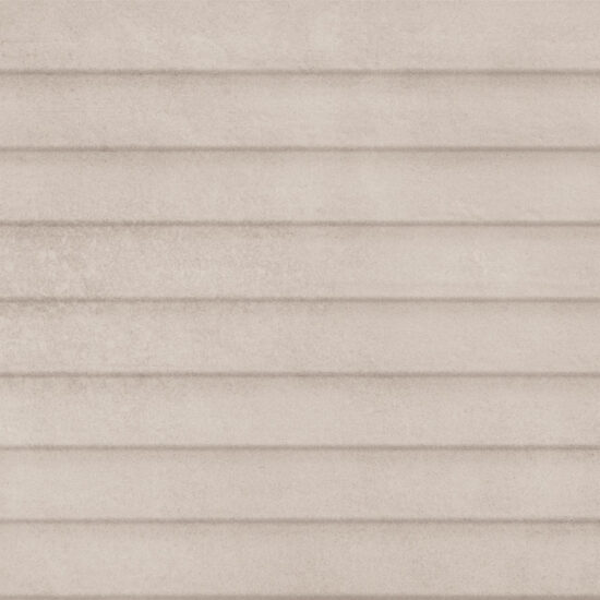 ragno terracruda r6ef.jpg