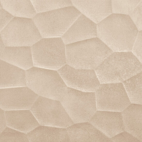 ragno terracruda r6zq.jpg