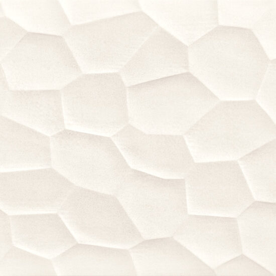 ragno terracruda r70f.jpg