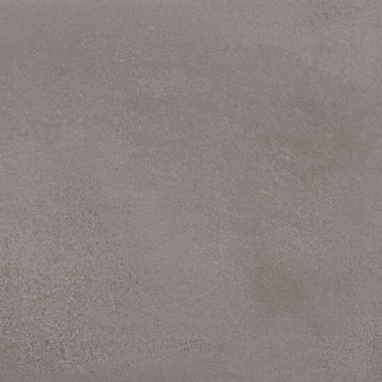 ragno terracruda r74j.jpg