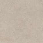 ragno tiempo rcs5.jpg