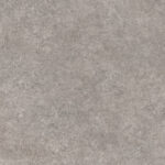 ragno tiempo rcs7.jpg