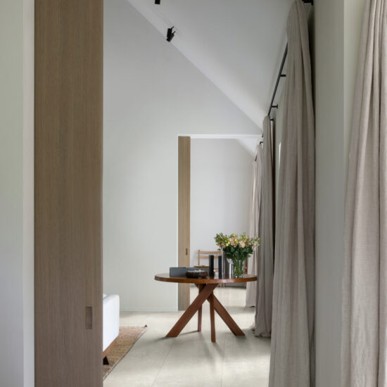 ragno tiempo 004.jpg