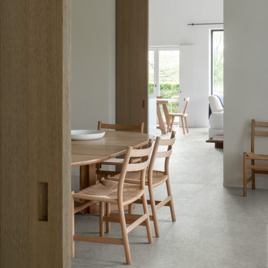 ragno tiempo 005.jpg