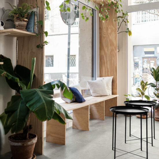 ragno tiempo 007.jpg