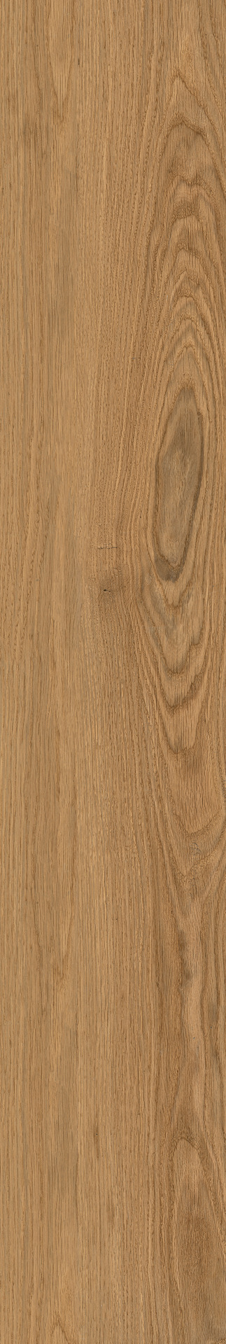 ragno woodclass r76s.jpg