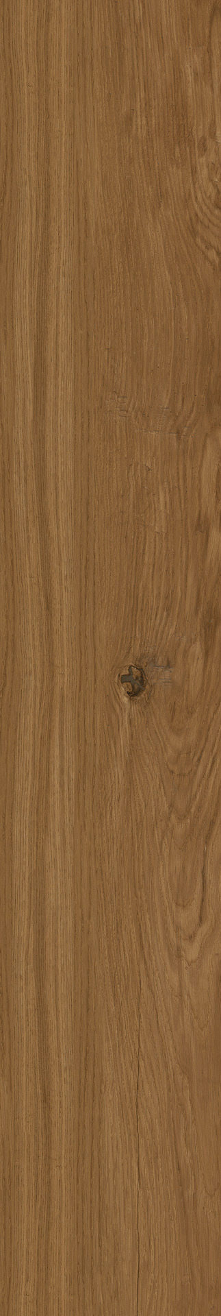 ragno woodclass r76t.jpg