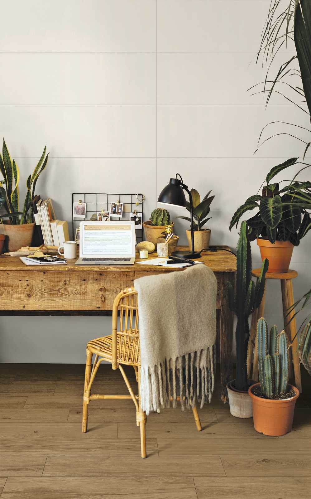 ragno woodclass 006.jpg