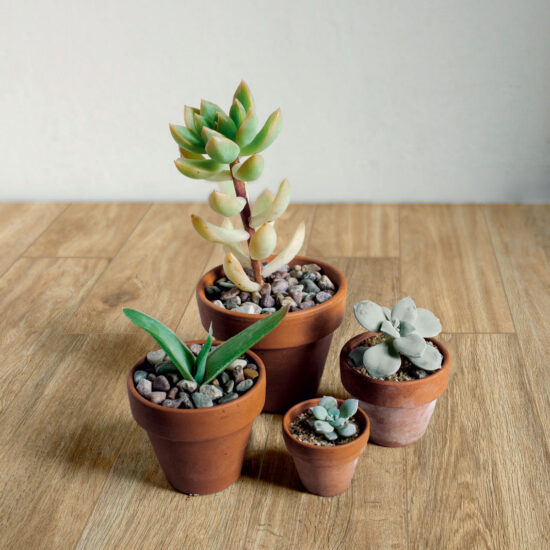 ragno woodglam 004.jpg