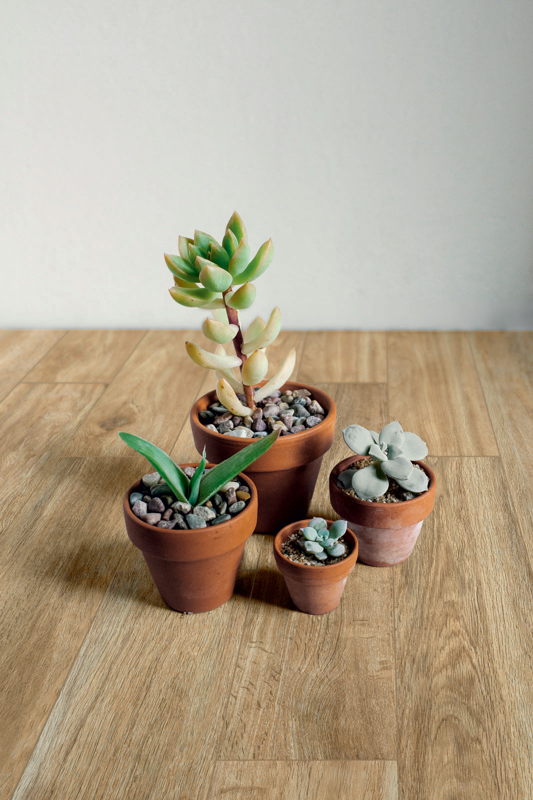 ragno woodglam 004.jpg