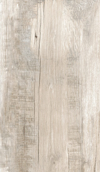 ragno woodmania r55z.jpg