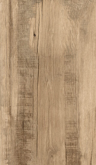 ragno woodmania r56a.jpg