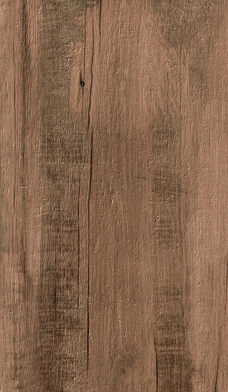 ragno woodmania r56c.jpg