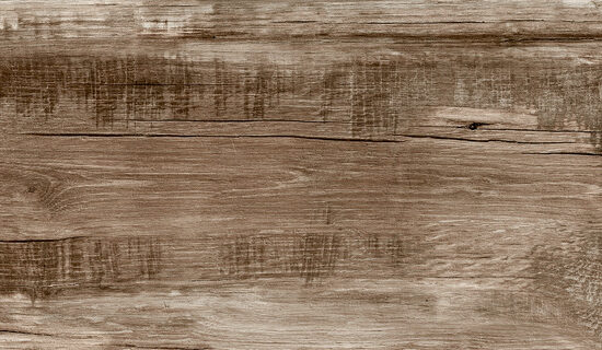 ragno woodmania r56d.jpg