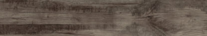 ragno woodmania r56e.jpg