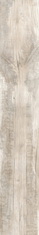 ragno woodmania r56l.jpg