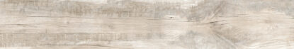 ragno woodmania r56l.jpg
