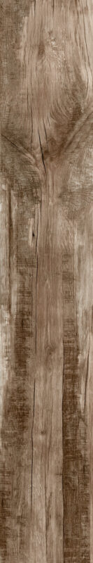 ragno woodmania r56p.jpg