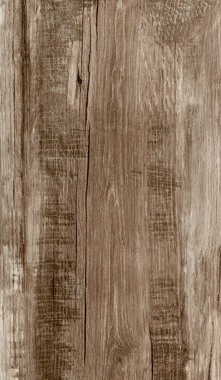 ragno woodmania r56p.jpg