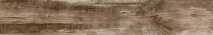 ragno woodmania r56p.jpg