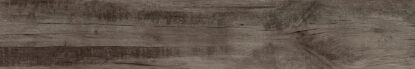 ragno woodmania r56q.jpg