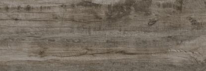 ragno woodmania xt20 r5tt.jpg