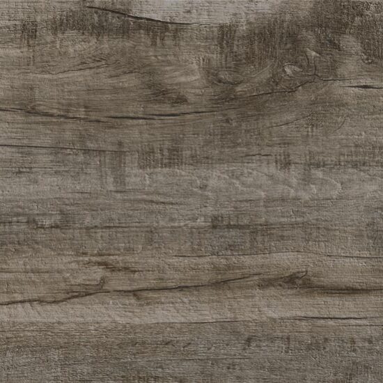 ragno woodmania xt20 r5tt.jpg