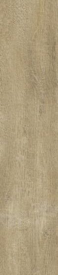 ragno woodsense r7ga.jpg