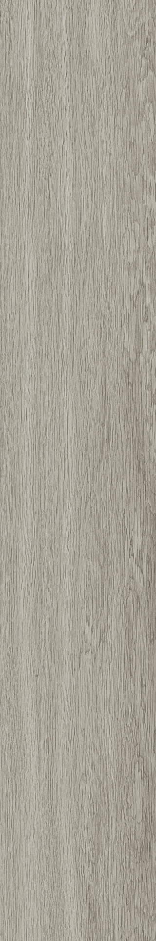 ragno woodsoft r141.jpg