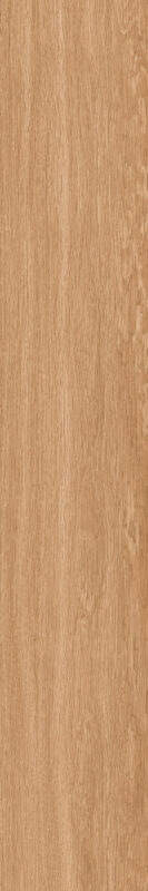 ragno woodsoft r14k.jpg