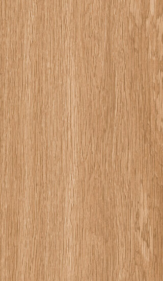 ragno woodsoft r14k.jpg