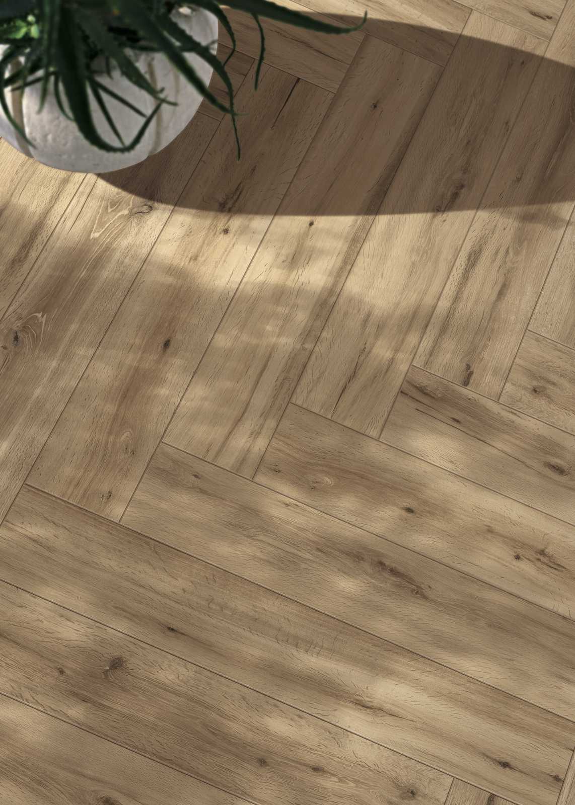 ragno woodstory 007.jpg