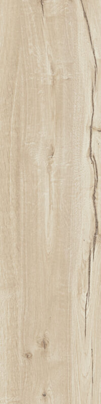 ragno woodtale r4tg.jpg