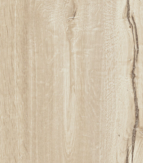 ragno woodtale r4tg.jpg