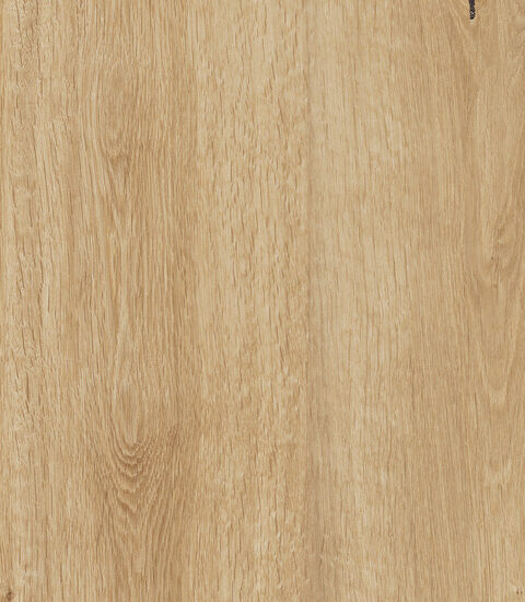 ragno woodtale r4th.jpg