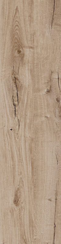 ragno woodtale r4tj.jpg