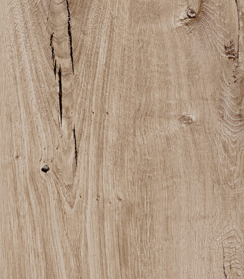 ragno woodtale r4tj.jpg