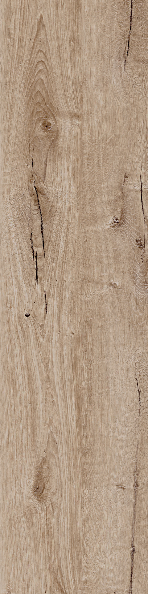 ragno woodtale r4tj.jpg