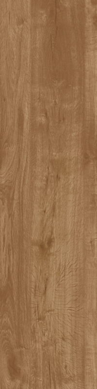 ragno woodtale r4tk.jpg