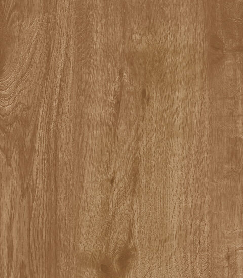 ragno woodtale r4tk.jpg