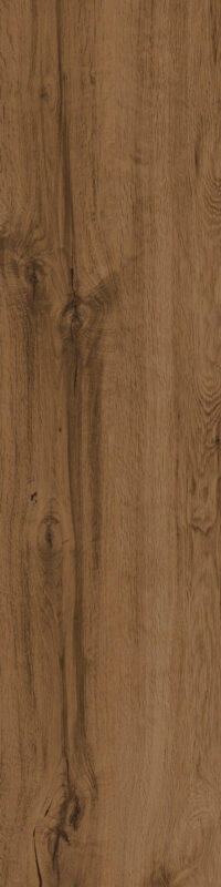 ragno woodtale r4tl.jpg