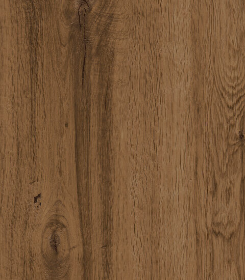 ragno woodtale r4tl.jpg