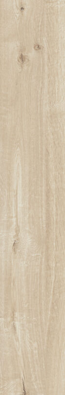 ragno woodtale r4tm.jpg