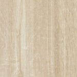 ragno woodtale r4tm.jpg